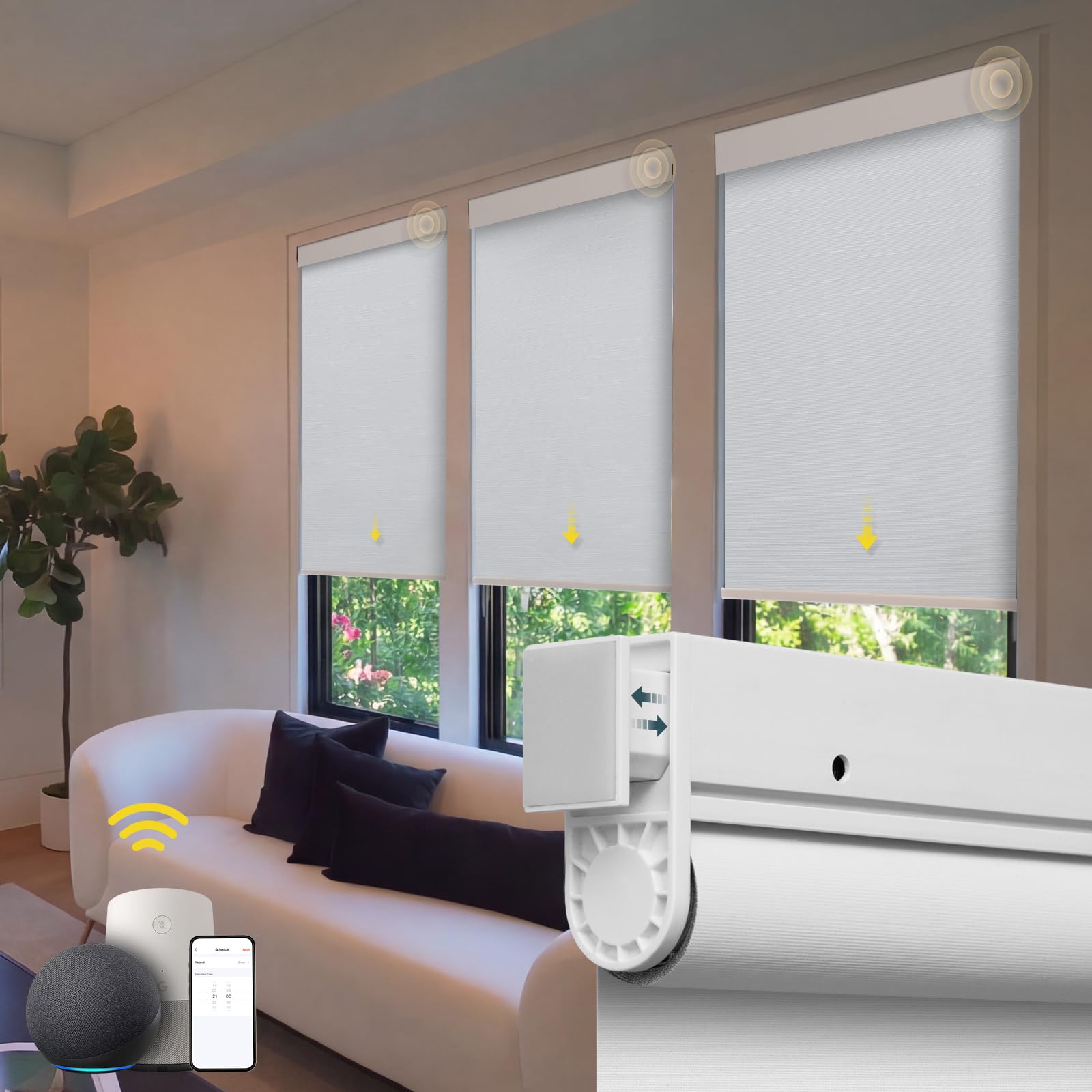 Motorized Blinds