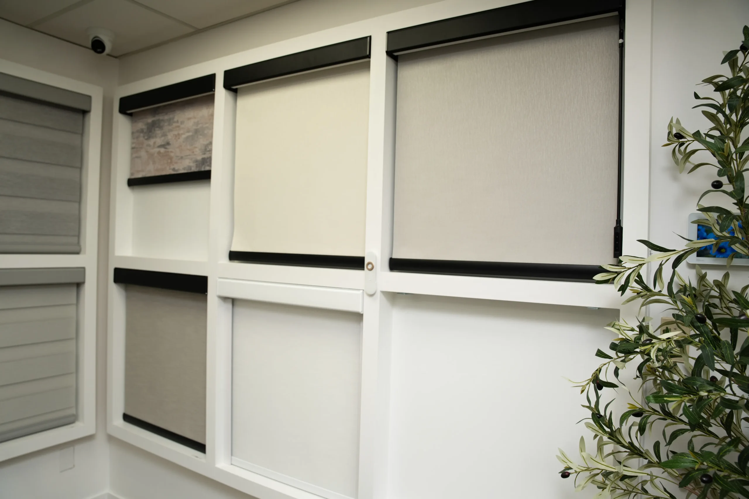 Gallery Blinds Image